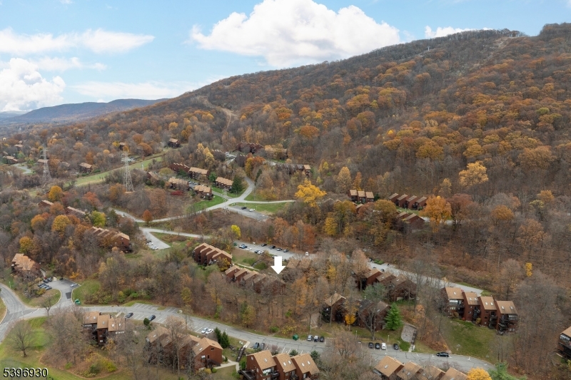 Aerial Shot