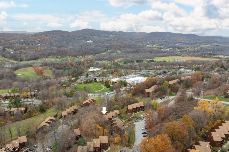 Aerial Shot