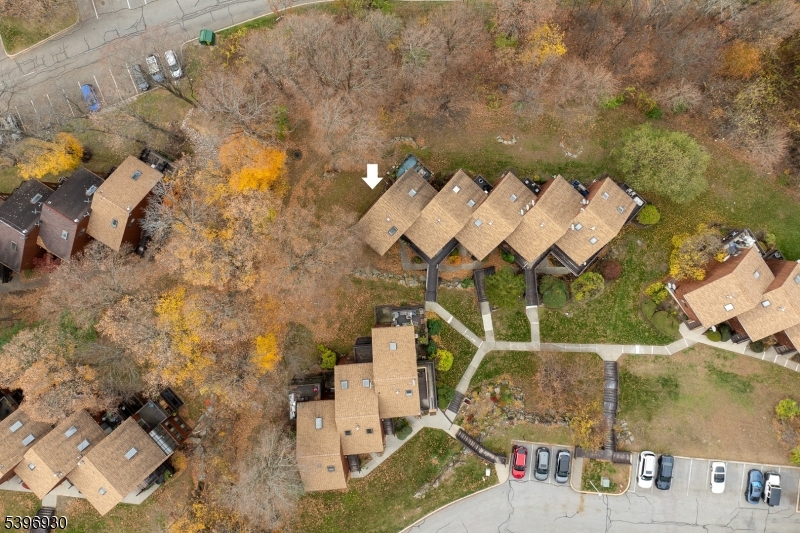 Aerial Shot
