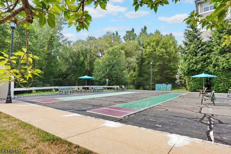 Shuffleboard