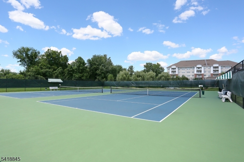 Tennis Pickleball