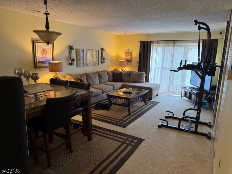 Living/Dining Room Combo
