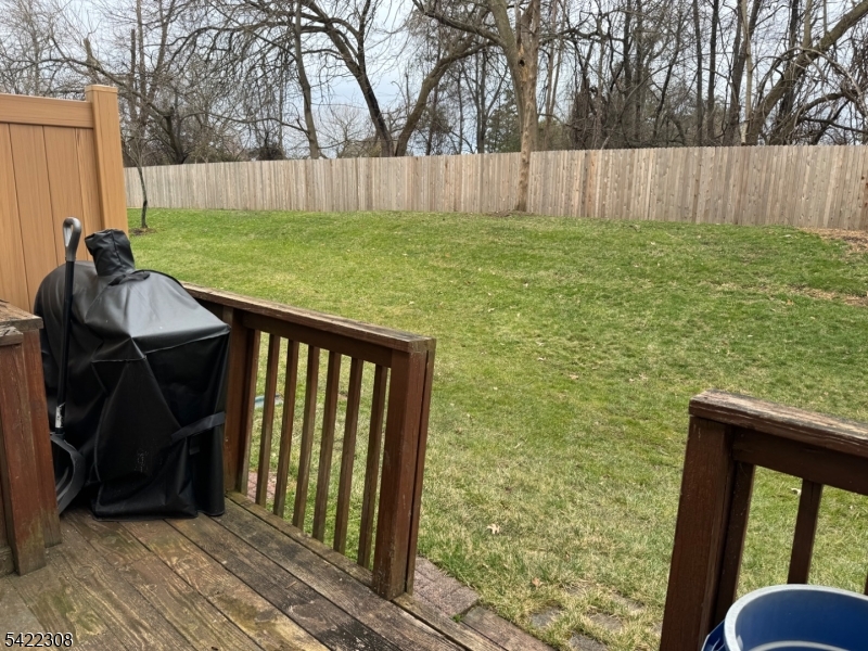 Backyard space