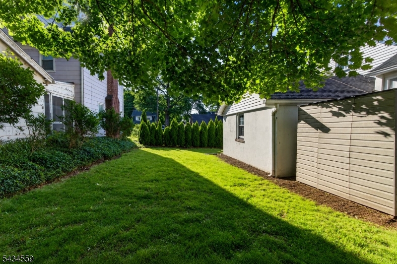 Great Outdoor Space