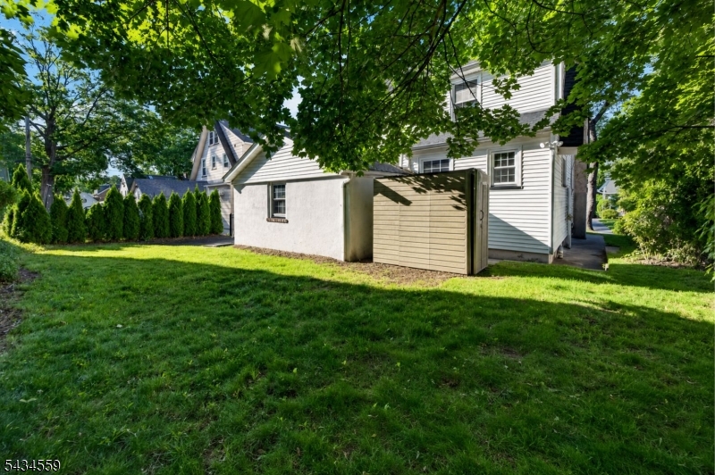Backyard Side View