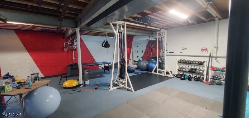 Basement Gym