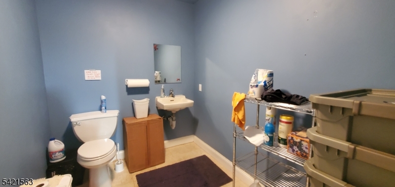 Basement Bathroom