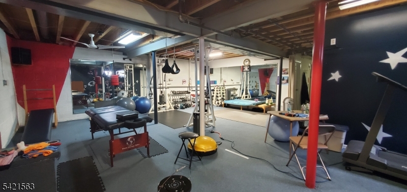 Basement Gym