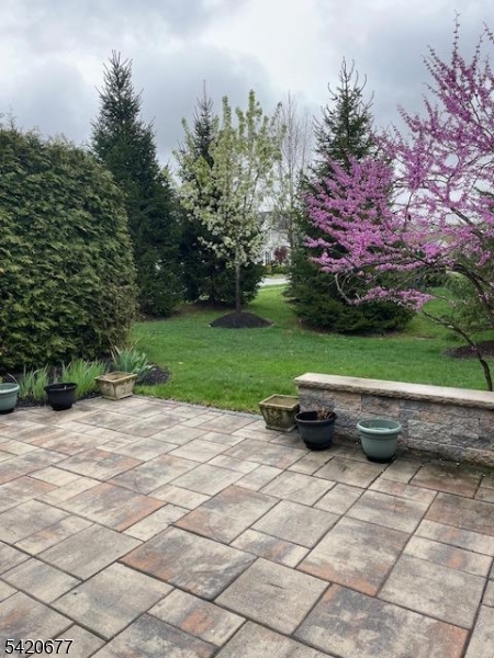 Patio view