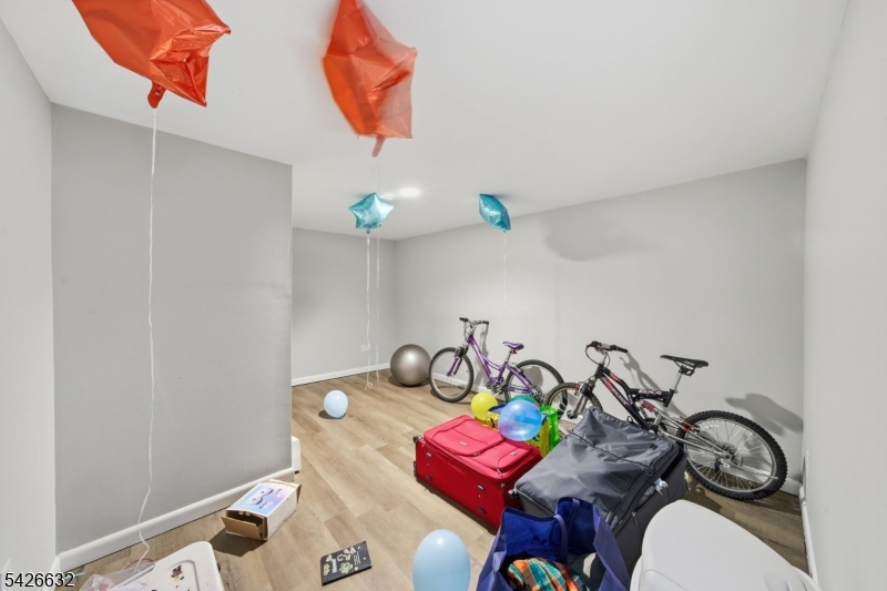 Basement Flex Space