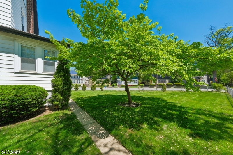 Rear Yard