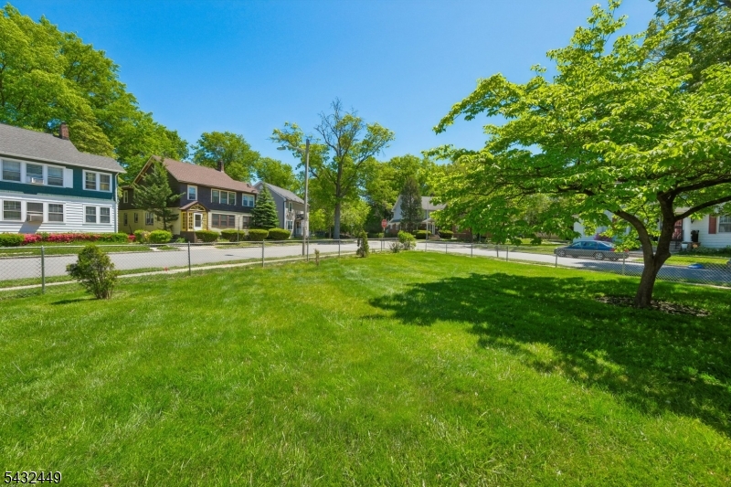 Rear Yard