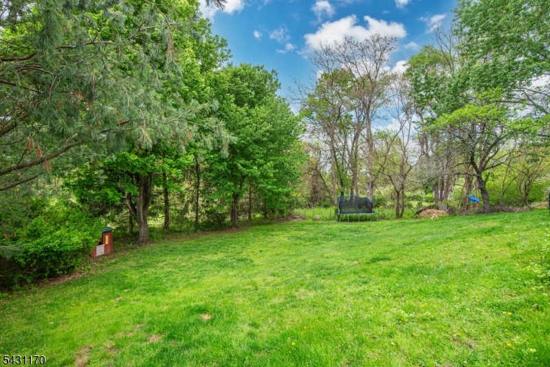 Tree-lined backyard