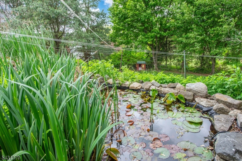 Decorative Pond