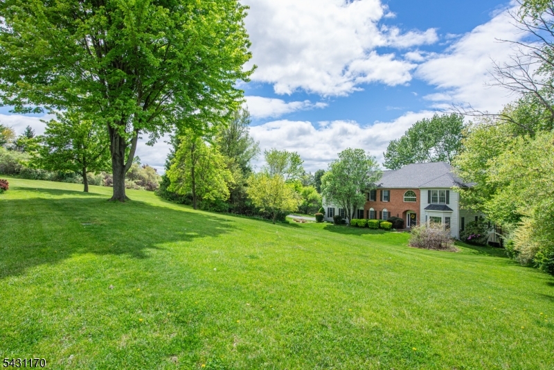 Front yard