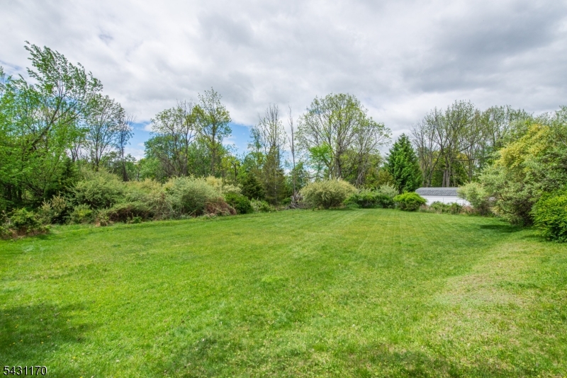 Huge Open Backyard Area