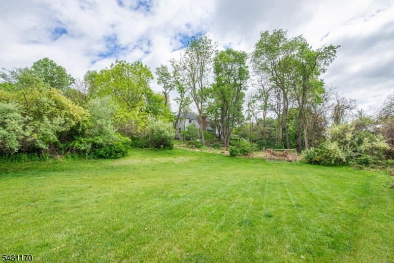 Huge Open Backyard Area