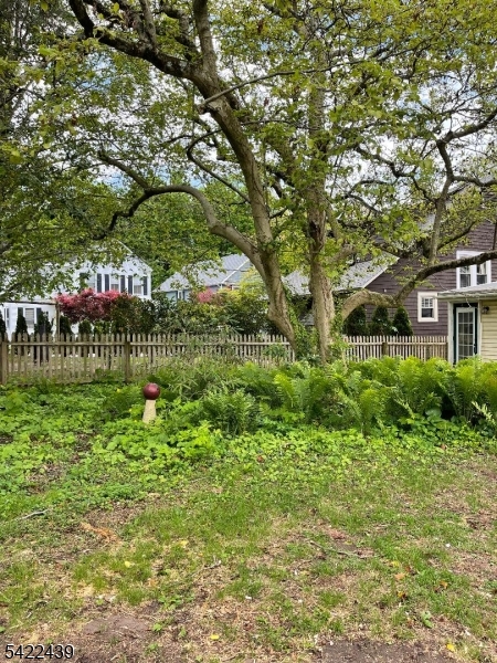 Back yard