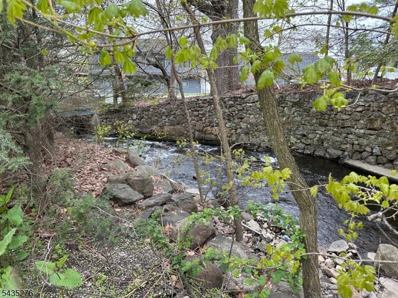 babbling brook