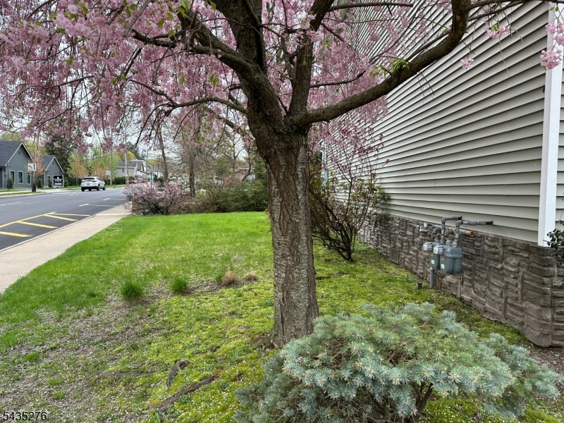 corner lot