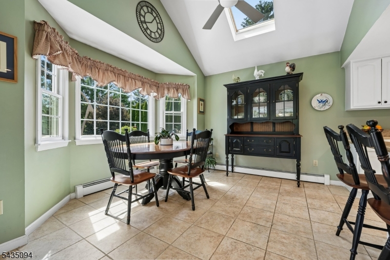 Vaulted Ceiling and Skylight