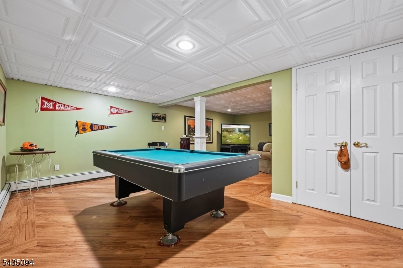 Basement Entertaining Area