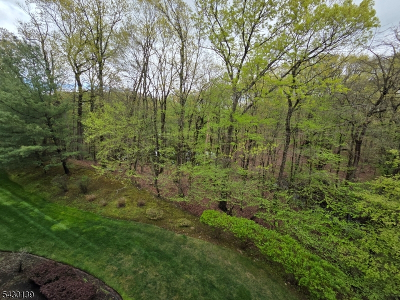 View from Patio