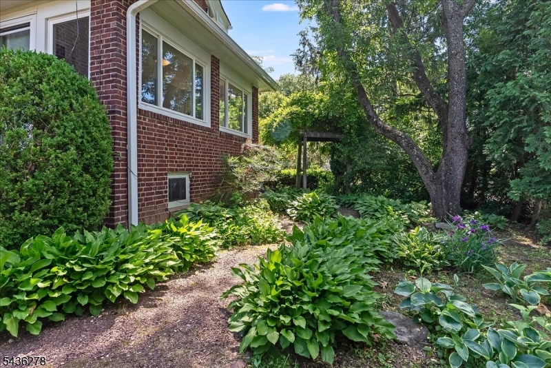 Side Yard Garden w/ Trellis