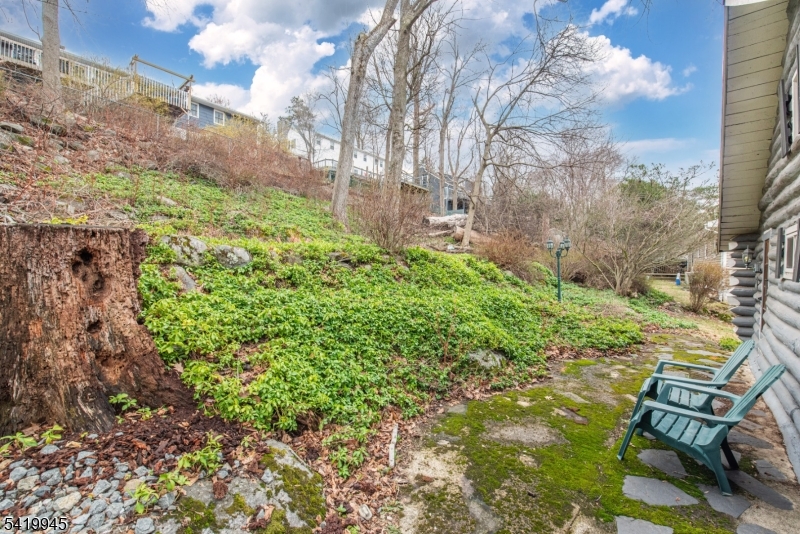 Back yard