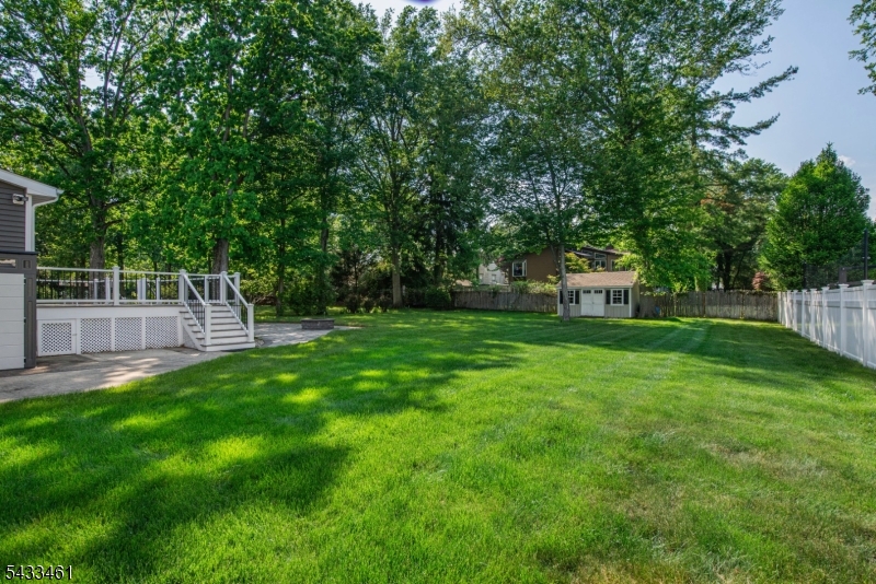 Spacious Yard