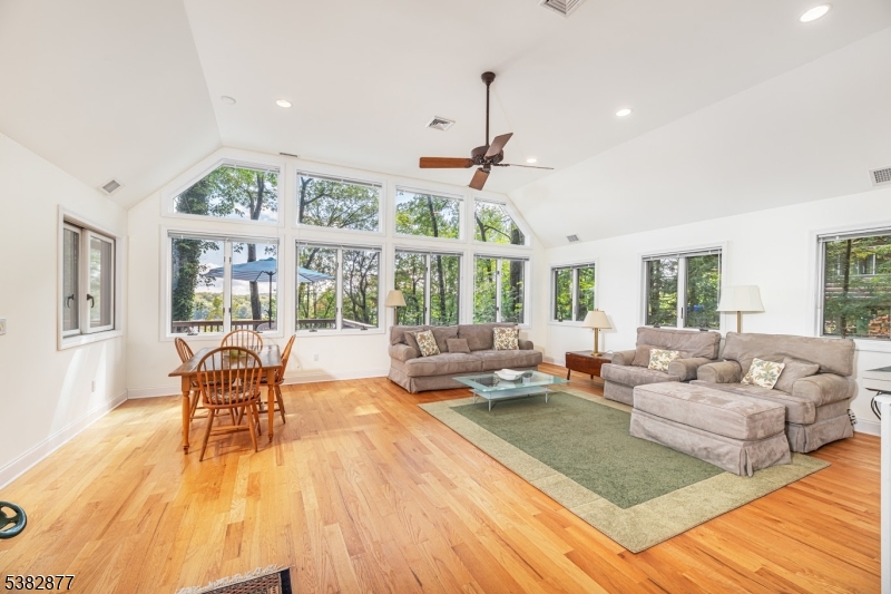 Vaulted Ceilings