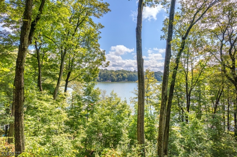 View from Deck