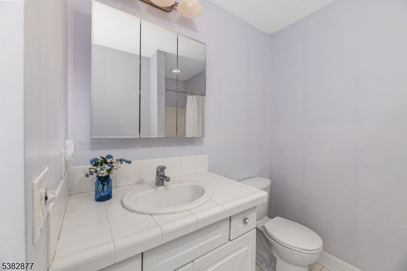 Full Guest Bathroom
