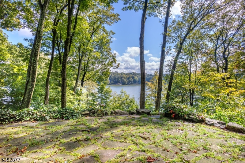 Lake View from Patio