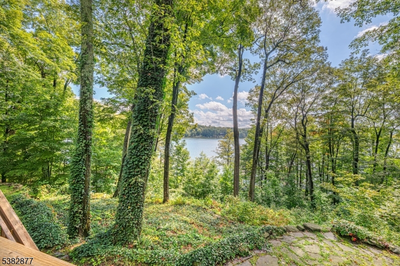 Pathway down to Lake