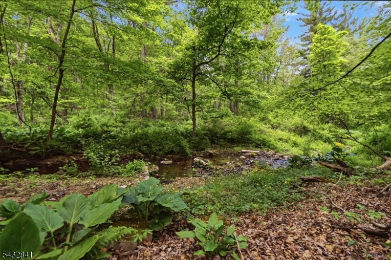 Rear Stream