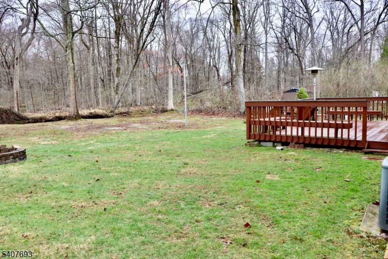 Deck and Backyard