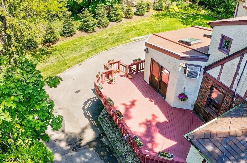 Back Birdview