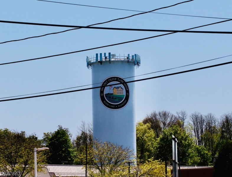 Mount Olive