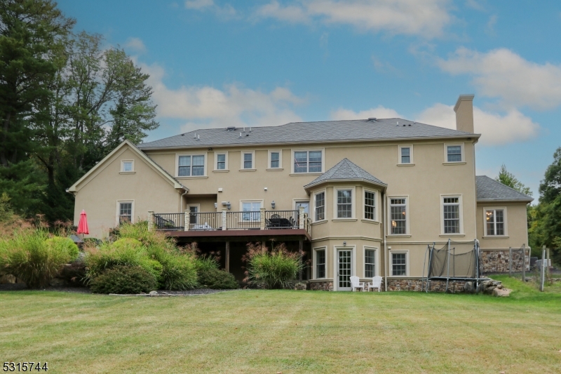 Rear Yard