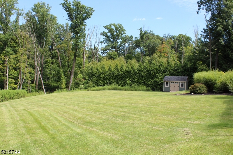 Rear Yard