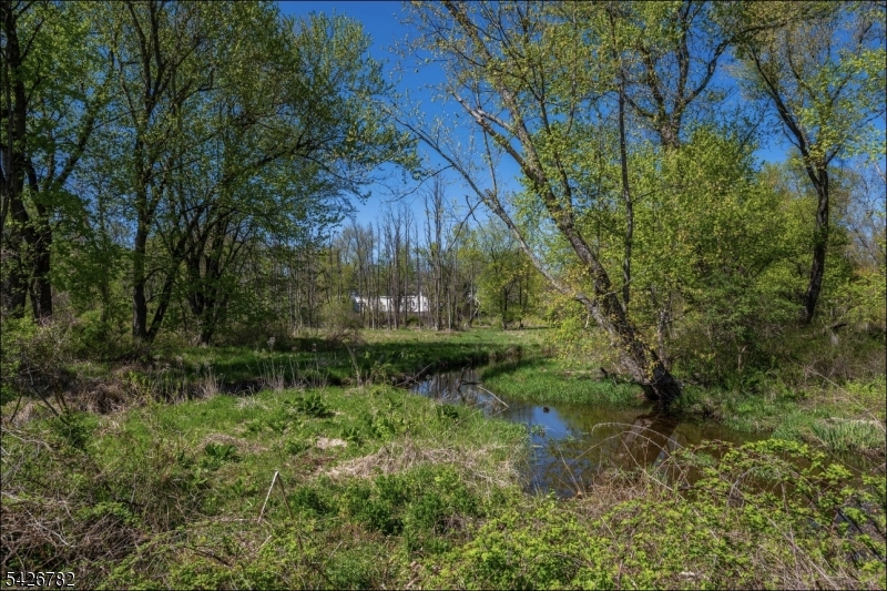 River View