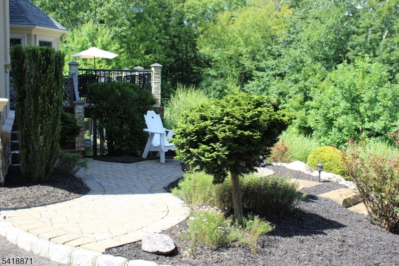 Landscaped entertaining space