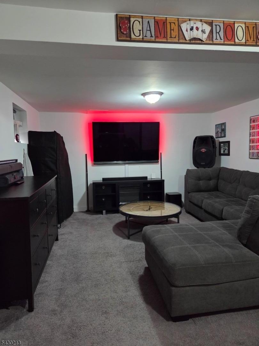 Bsmt rec rm