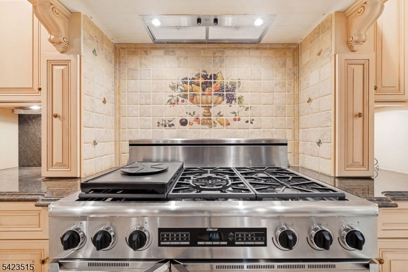 Dracor Commercial Grade Stove