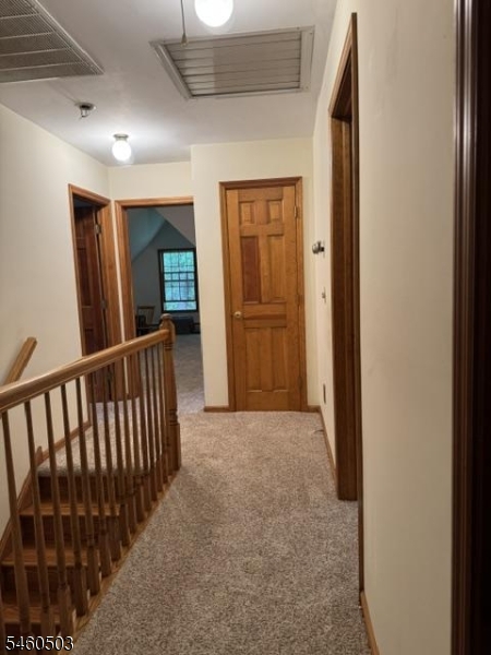 104 Buck Hill Trl