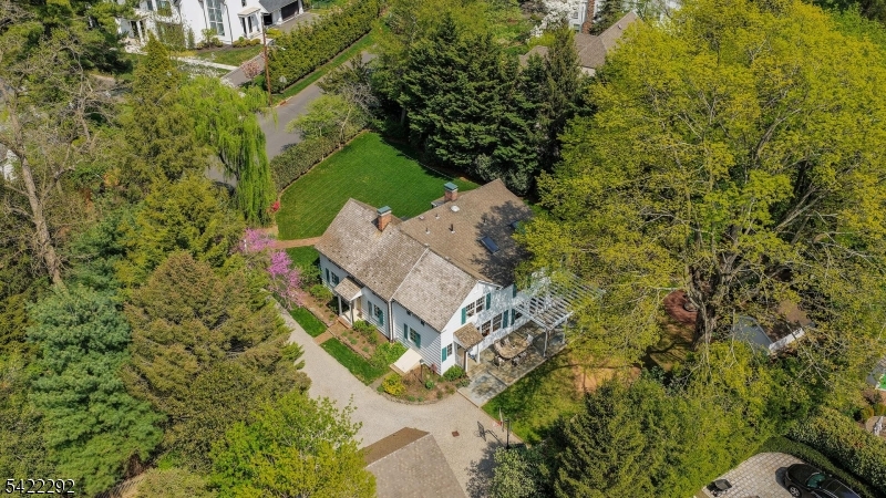 aerial