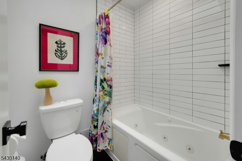 Hall Bathroom View 2
