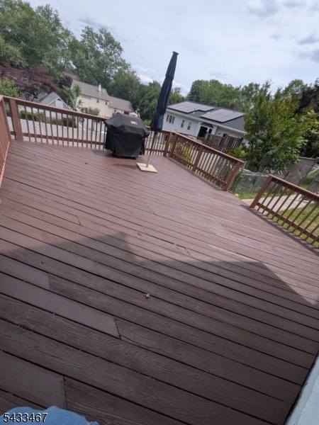 backyard2