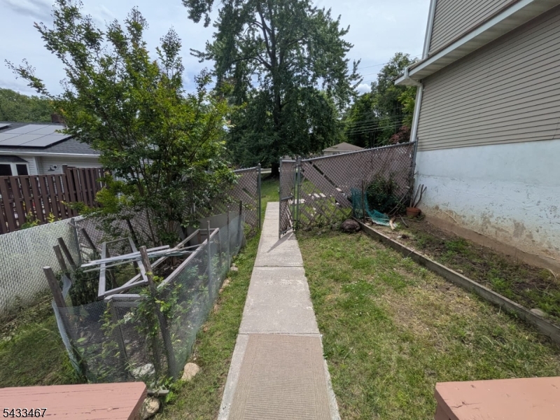 backyard3